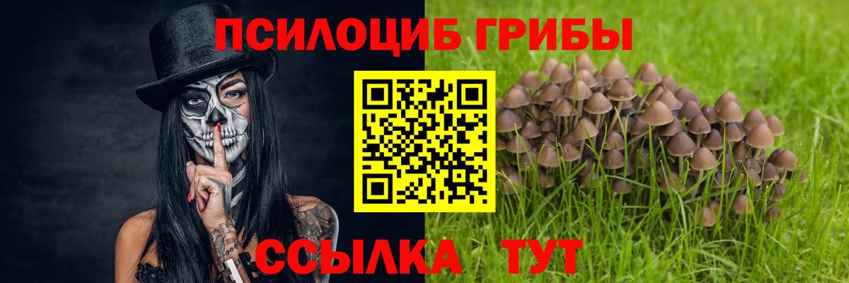 Димитровград  дарнет шоп  Вход с VPN  Псилоцибиновые грибы ЛСД  Галлюциногенные грибы Magic Shrooms 