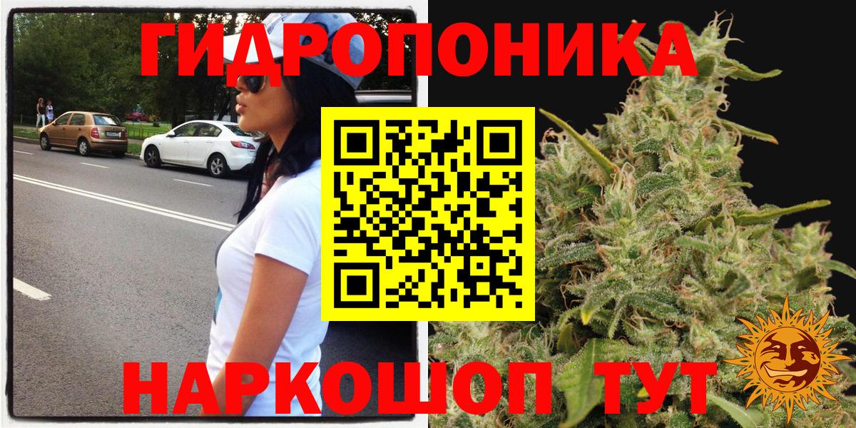 Димитровград  Бошки Шишки сатива  Вход с VPN  МАРИХУАНА ГИДРОПОН 